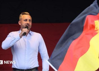 Germany's far-right AfD bids for first taste of power in eastern vote