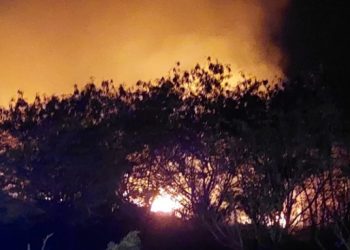 Gobierno declara de alto interés nacional el combate al terrorismo ambiental
