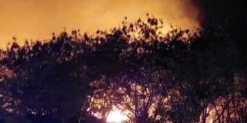 Gobierno declara de alto interés nacional el combate al terrorismo ambiental