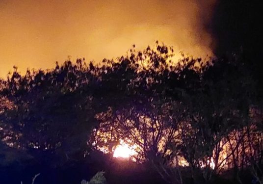 Gobierno declara de alto interés nacional el combate al terrorismo ambiental