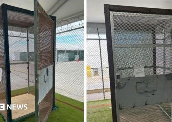 Immigrants held in small outdoor cages at 'Alligator Alcatraz' in Florida, investigators find