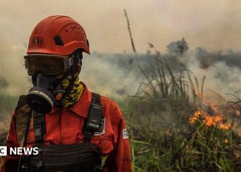 Indonesia fires: Toxic haze spreads across South East Asia amid 'super' El Niño
