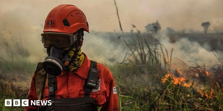 Indonesia fires: Toxic haze spreads across South East Asia amid 'super' El Niño Indonesia fires: Toxic haze spreads across South East Asia amid 'super' El Niño
