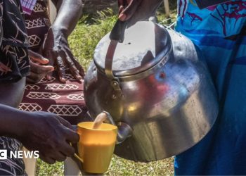 Kenya's milk shortage: Chai tea lovers unhappy as cows run dry