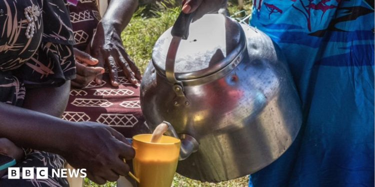 Kenya's milk shortage: Chai tea lovers unhappy as cows run dry Kenya's milk shortage: Chai tea lovers unhappy as cows run dry