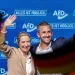 La AfD roza el 44% en el Estado de Sajonia-Anhalt y queda muy cerca de la mayoría absoluta La AfD roza el 44% en el Estado de Sajonia-Anhalt y queda muy cerca de la mayoría absoluta