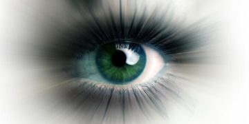 La brecha de visibilidad de la IA: por qué las grandes marcas se están alejando de las respuestas de la IA La brecha de visibilidad de la IA: por qué las grandes marcas se están alejando de las respuestas de la IA