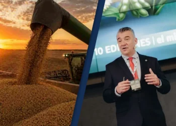 La próxima cosecha argentina batirá un récord, con Córdoba entre las provincias clave