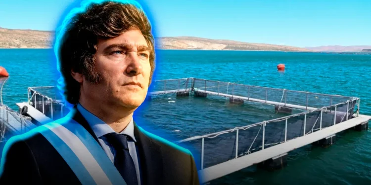 Las economías regionales alcanzaron un récord histórico tras la eliminación de las retenciones