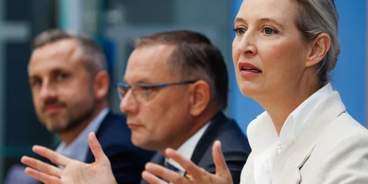 Líderes políticos europeos se preocupan por AfD en Alemania