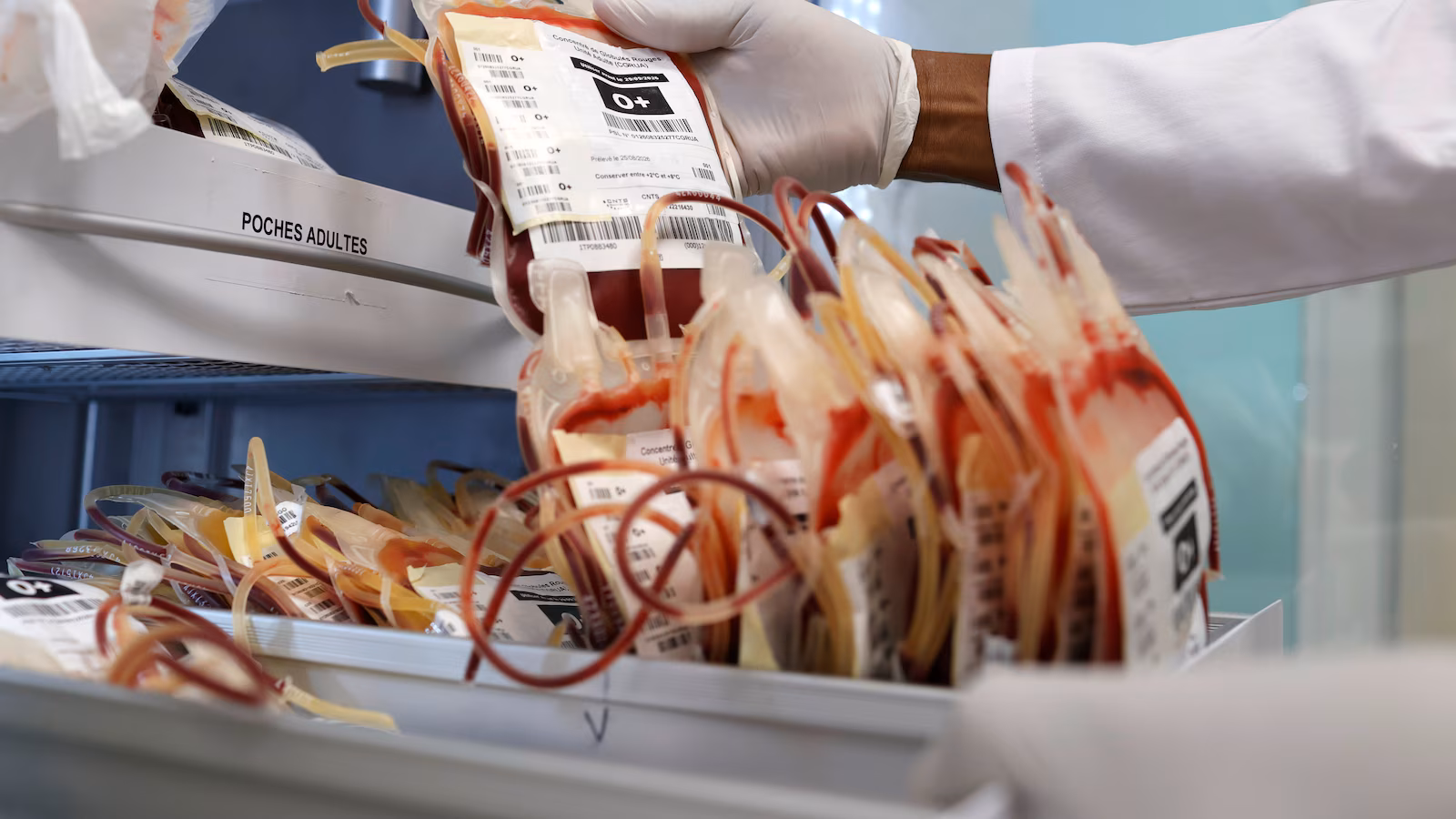 Los científicos advierten sobre el debilitamiento de los sistemas de salud e instan a una mayor detección de brotes