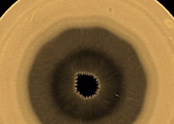 Los científicos encuentran un patrón de ondas de 10 lados arremolinándose en las nubes sobre el polo sur de Saturno