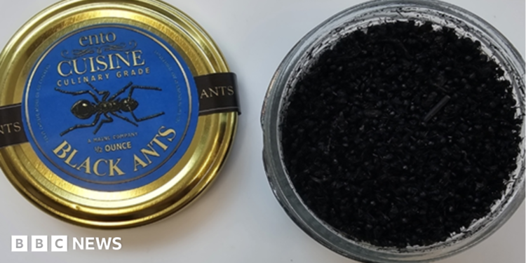 Michelin-starred Seoul restaurant fined for using ants as garnish Michelin-starred Seoul restaurant fined for using ants as garnish