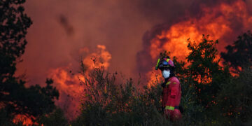 Observatorio de Áreas Protegidas alerta sobre una emergencia por incendios forestales en República Dominicana