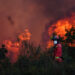 Observatorio de Áreas Protegidas alerta sobre una emergencia por incendios forestales en República Dominicana