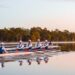 Olympics: The Fitzroy River in Queensland has 500 crocodiles in it - but that's not the main concern