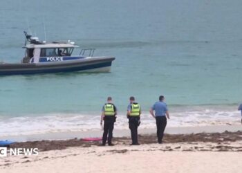 Perth shark attack: Beaches shut as deadly attack prompts rare kill order