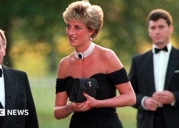 Princess Diana's 'revenge dress' goes up for auction