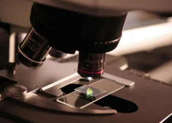 Se instalará en Córdoba un pionero laboratorio de paleogenómica