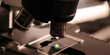 Se instalará en Córdoba un pionero laboratorio de paleogenómica