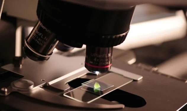 Se instalará en Córdoba un pionero laboratorio de paleogenómica Se instalará en Córdoba un pionero laboratorio de paleogenómica