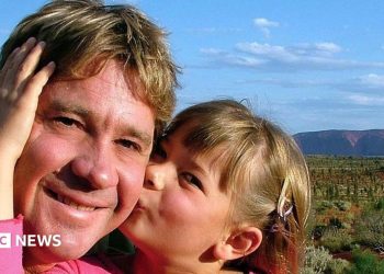 Steve Irwin's family celebrates 'superhero' dad, 20 years after shock death