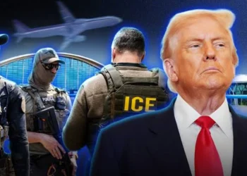 Trump logró una histórica caída de casi 3 millones de inmigrantes ilegales en EEUU