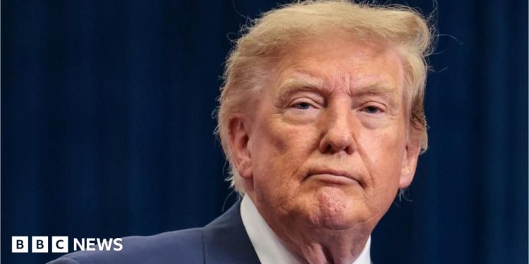 Trump says US position on Falklands 'one of many' under review