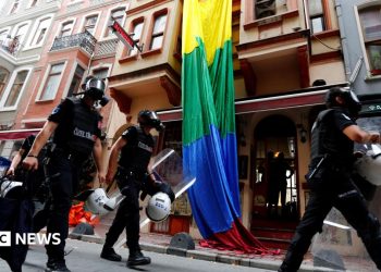 Turkish police detain dozens in raids on gay bars and homes of LGBTQ+ activists