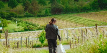 Vivir gratis en Alemania: buscan voluntarios y ofrecen alojamiento y comida a cambio de trabajar en el campo Vivir gratis en Alemania: buscan voluntarios y ofrecen alojamiento y comida a cambio de trabajar en el campo