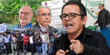 ¿Habrá una alianza entre partidos? PLD respalda a la ANPA