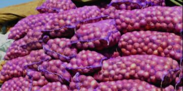 “Las habichuelas y la cebolla están subiendo de precios por el monopolio”, denuncia dirigente comercial Apolinar Leyva