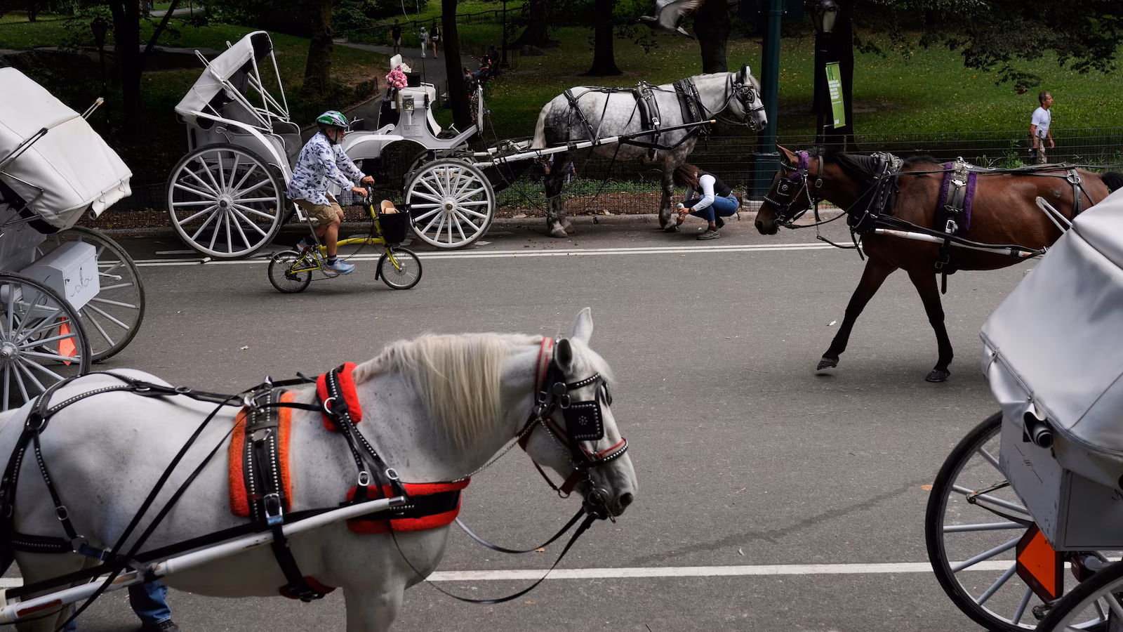 Nueva York prohibirá los carruajes tirados por caballos en Central Park tras la muerte de un adolescente